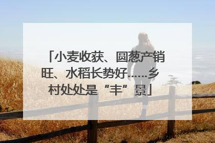 小麦收获、圆葱产销旺、水稻长势好……乡村处处是“丰”景