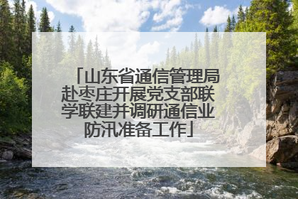 山东省通信管理局赴枣庄开展党支部联学联建并调研通信业防汛准备工作