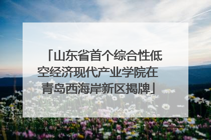 山东省首个综合性低空经济现代产业学院在青岛西海岸新区揭牌