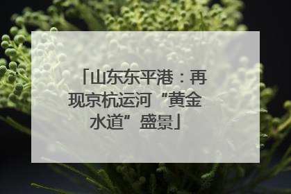 山东东平港：再现京杭运河“黄金水道”盛景
