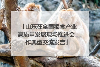 山东在全国粮食产业高质量发展现场推进会作典型交流发言