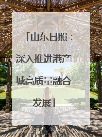 山东日照：深入推进港产城高质量融合发展