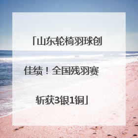 山东轮椅羽球创佳绩！全国残羽赛斩获3银1铜