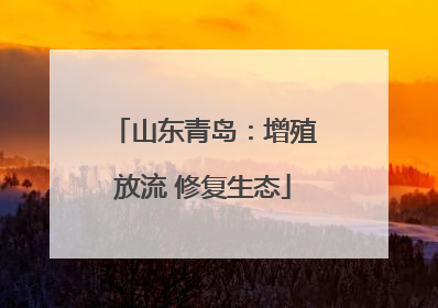 山东青岛：增殖放流 修复生态