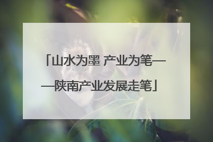 山水为墨 产业为笔——陕南产业发展走笔
