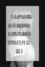 山西省临汾市规划和自然资源局党组召开会议