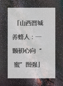 山西晋城养蜂人：一颗初心向“蜜”图强