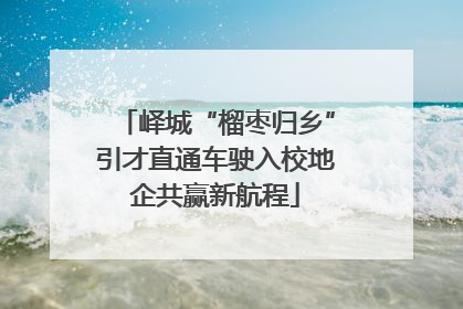 峄城“榴枣归乡”引才直通车驶入校地企共赢新航程