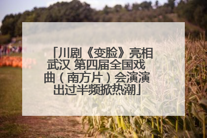 川剧《变脸》亮相武汉 第四届全国戏曲（南方片）会演演出过半频掀热潮