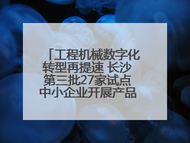 工程机械数字化转型再提速 长沙第三批27家试点中小企业开展产品供需对接