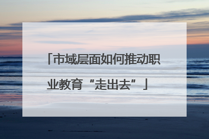 市域层面如何推动职业教育“走出去”