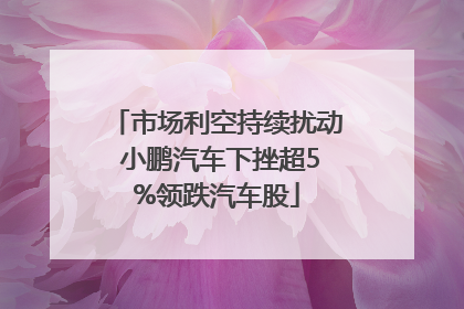 市场利空持续扰动 小鹏汽车下挫超5%领跌汽车股