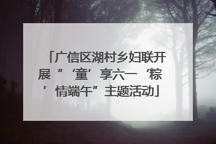 广信区湖村乡妇联开展“‘童’享六一‘粽’情端午”主题活动