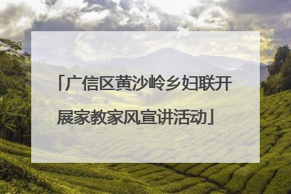 广信区黄沙岭乡妇联开展家教家风宣讲活动