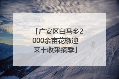 广安区白马乡2000余亩花椒迎来丰收采摘季