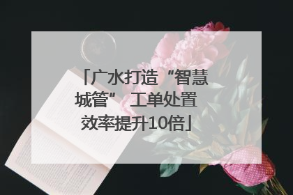 广水打造“智慧城管” 工单处置效率提升10倍