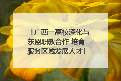 广西一高校深化与东盟职教合作 培育服务区域发展人才