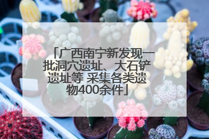 广西南宁新发现一批洞穴遗址、大石铲遗址等 采集各类遗物400余件
