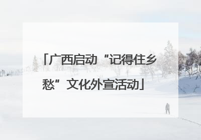 广西启动“记得住乡愁”文化外宣活动