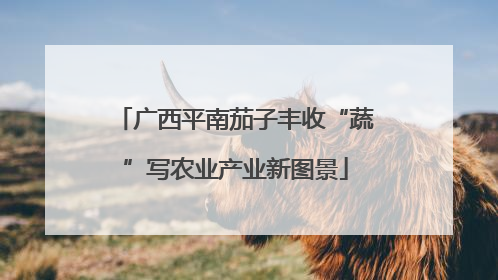 广西平南茄子丰收“蔬”写农业产业新图景