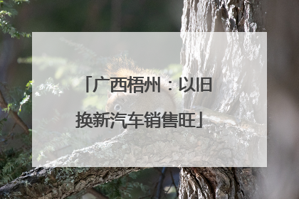广西梧州：以旧换新汽车销售旺