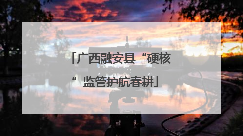 广西融安县“硬核”监管护航春耕