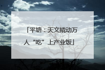 平塘：天文撬动万人“吃”上产业饭
