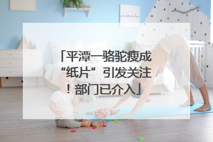 平潭一骆驼瘦成“纸片”引发关注！部门已介入