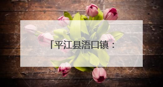 平江县浯口镇：精准织密护河网格，七大区域专职守护汨罗江