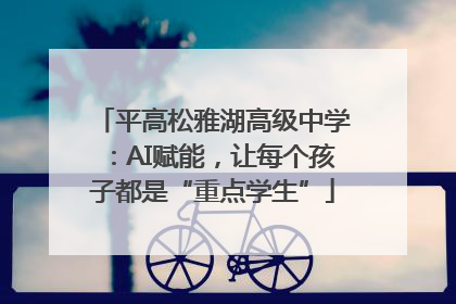 平高松雅湖高级中学：AI赋能，让每个孩子都是“重点学生”