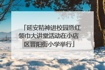 延安精神进校园暨红领巾大讲堂活动在小店区晋阳街小学举行