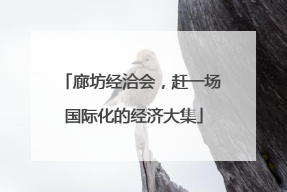 廊坊经洽会，赶一场国际化的经济大集