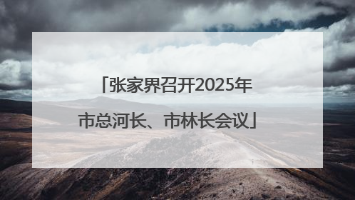 张家界召开2025年市总河长、市林长会议