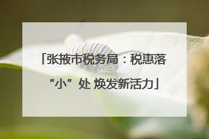 张掖市税务局：税惠落“小”处 焕发新活力
