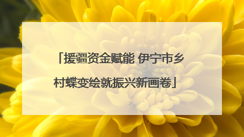 援疆资金赋能 伊宁市乡村蝶变绘就振兴新画卷