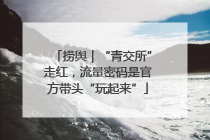 捞舆｜“青交所”走红，流量密码是官方带头“玩起来”