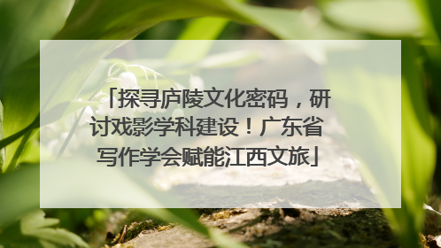 探寻庐陵文化密码，研讨戏影学科建设！广东省写作学会赋能江西文旅