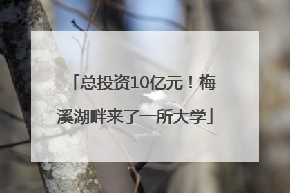 总投资10亿元！梅溪湖畔来了一所大学