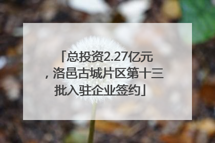 总投资2.27亿元，洛邑古城片区第十三批入驻企业签约
