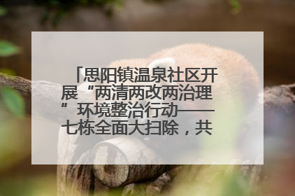 思阳镇温泉社区开展“两清两改两治理”环境整治行动——七栋全面大扫除，共建洁净家园