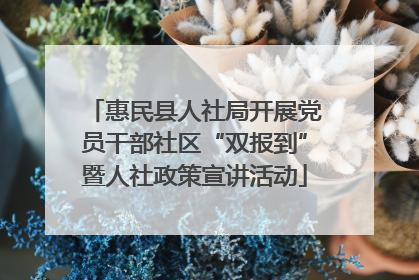 惠民县人社局开展党员干部社区“双报到”暨人社政策宣讲活动