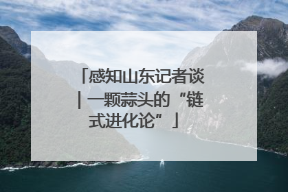 感知山东记者谈｜一颗蒜头的“链式进化论”