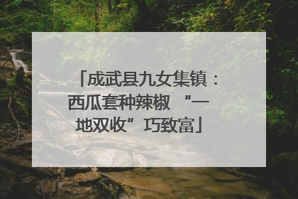 成武县九女集镇：西瓜套种辣椒 “一地双收”巧致富