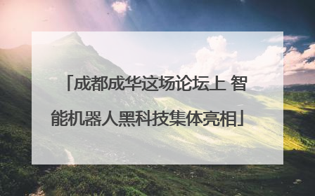 成都成华这场论坛上 智能机器人黑科技集体亮相