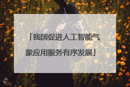 我国促进人工智能气象应用服务有序发展