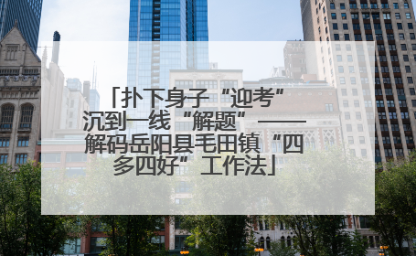 扑下身子“迎考” 沉到一线“解题”——解码岳阳县毛田镇“四多四好”工作法