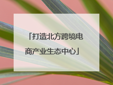 打造北方跨境电商产业生态中心