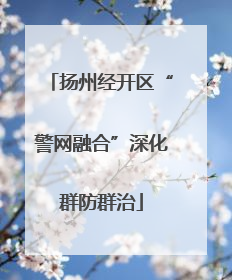 扬州经开区“警网融合”深化群防群治
