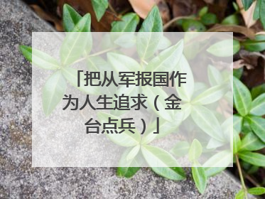 把从军报国作为人生追求（金台点兵）