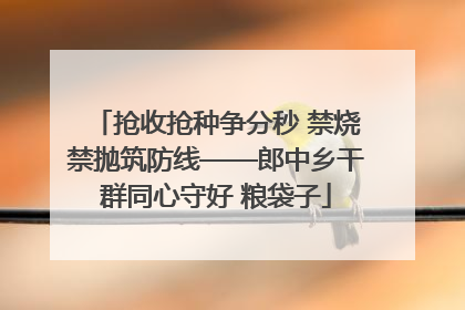 抢收抢种争分秒 禁烧禁抛筑防线——郎中乡干群同心守好 粮袋子